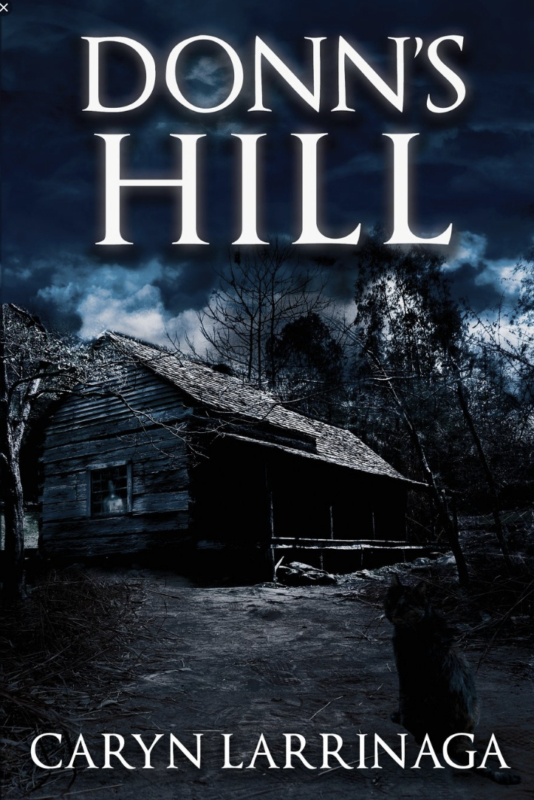 Donns Hill Cover
  