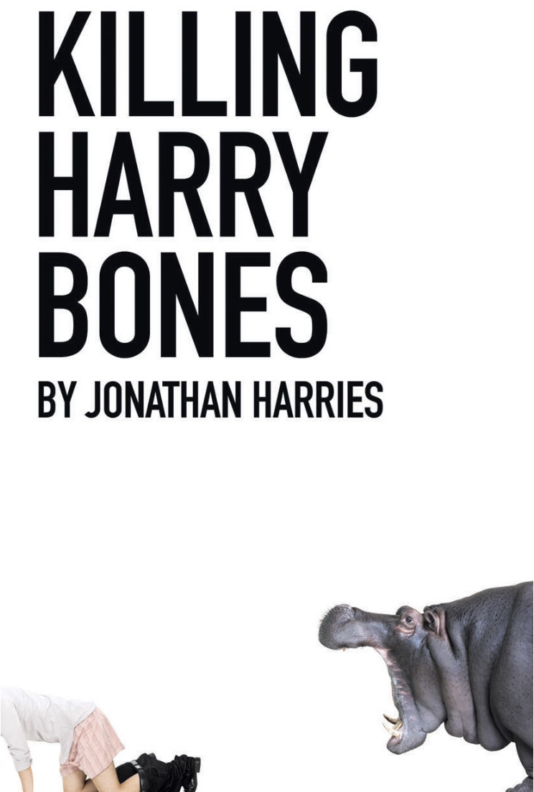 Killing Harry Bones
  